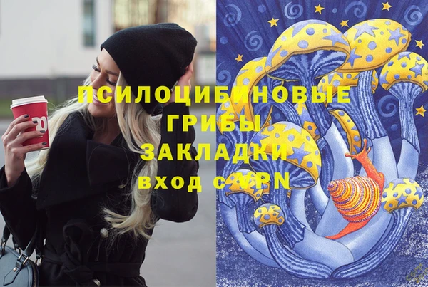 таблы Верея