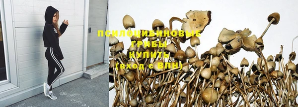 таблы Верея
