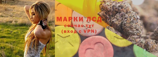 гидра Верхний Тагил