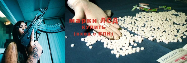 гидра Верхний Тагил