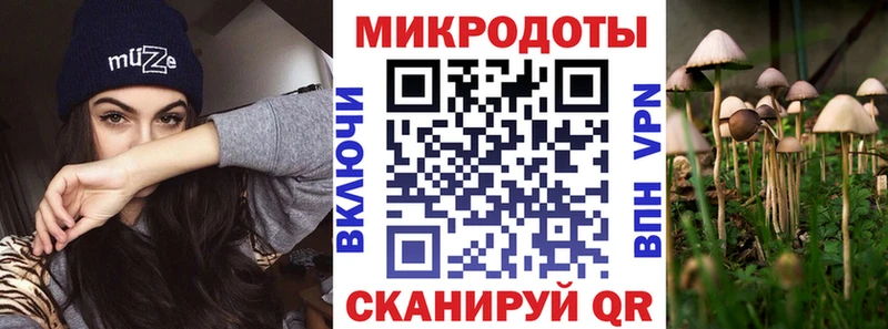 Псилоцибиновые грибы мухоморы  darknet наркотические препараты  Новокузнецк  МЕГА как войти 